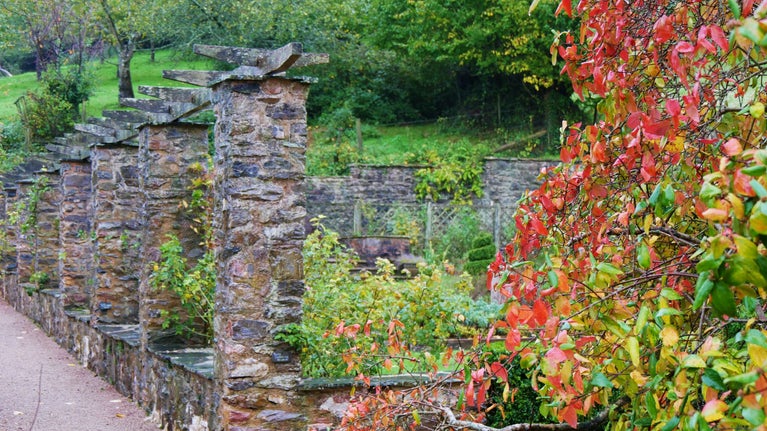 Red and orange leaves hanging from a stone wall in the forefront, with a stone terraced garden feature and gravel path behind.
